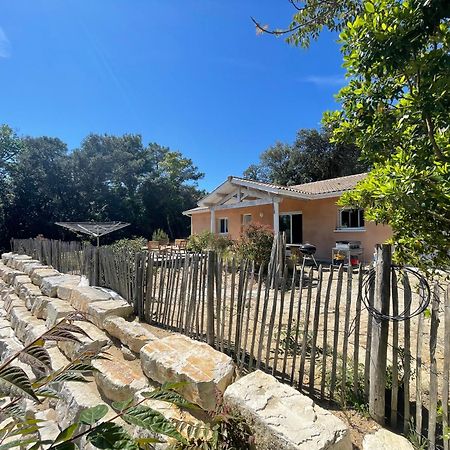 Maison A Moins De 5 Minutes De La Plage Villa Soulac-sur-Mer Exterior photo